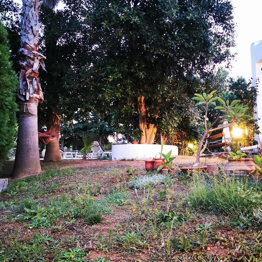 Villa Irene Kos Extérieur photo