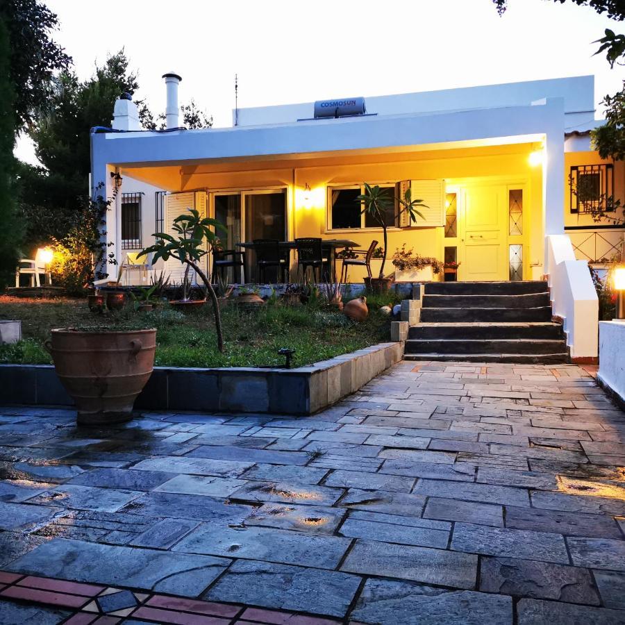 Villa Irene Kos Extérieur photo